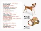 Dog Harness for Large Dogs No Pull Tactical Dog Harness Adjustable Pet Vest