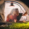 Portable Hanging Lantern Tent Fan 10000mAh Battery Power, USB Rechargeable, 4 Light, 3 Wind Modes, Emergency Power Bank